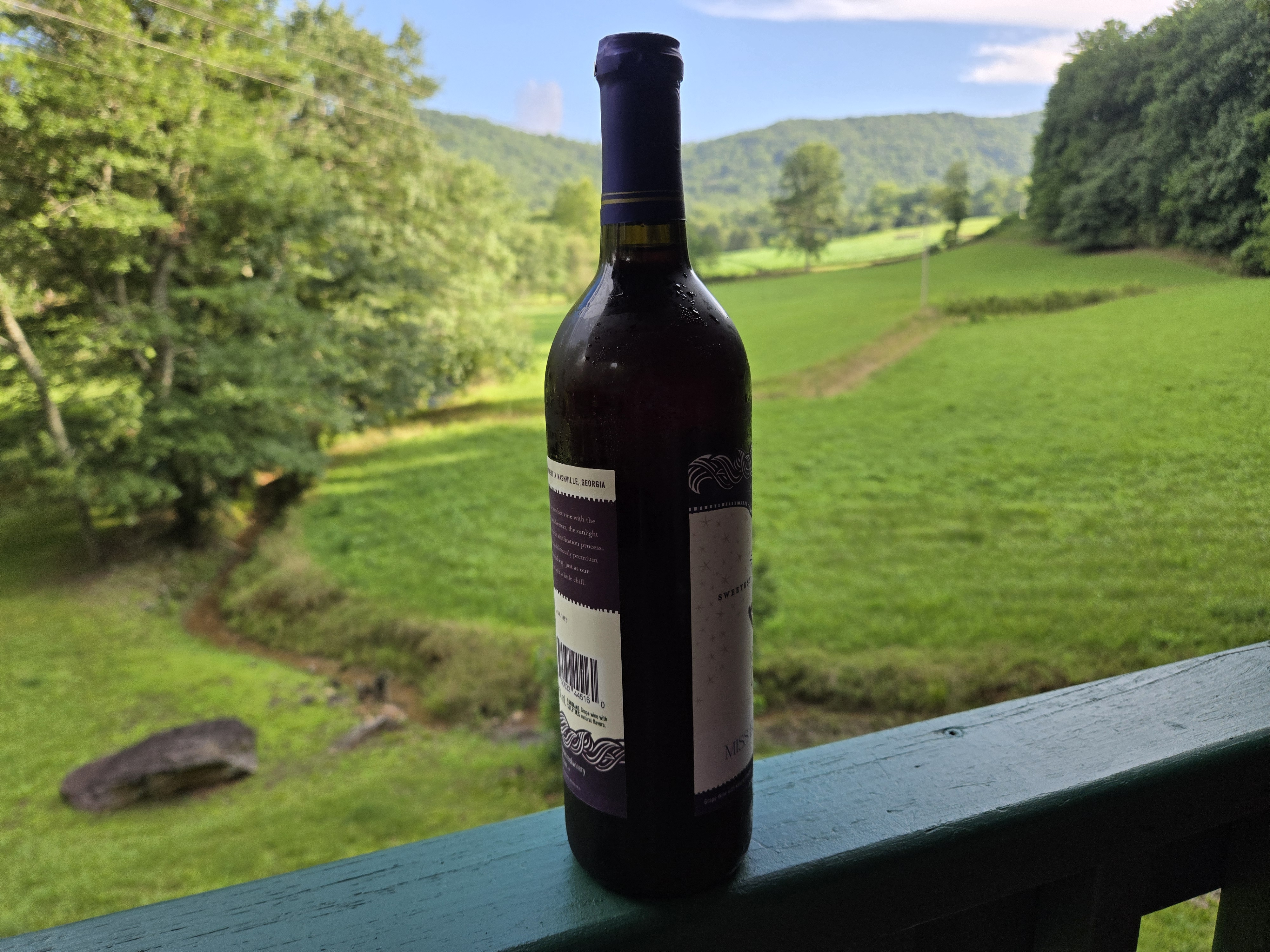 Dog-friendly winery in North Georgia