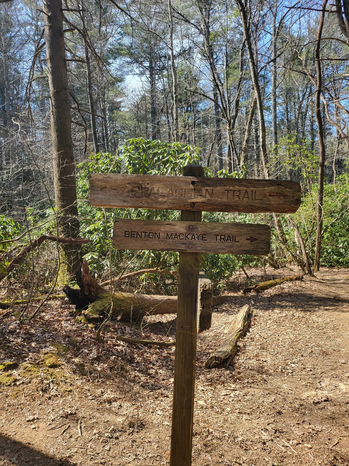 AT and Benton MacKaye Trail signs at Springer Mountain Georgia, wooden post