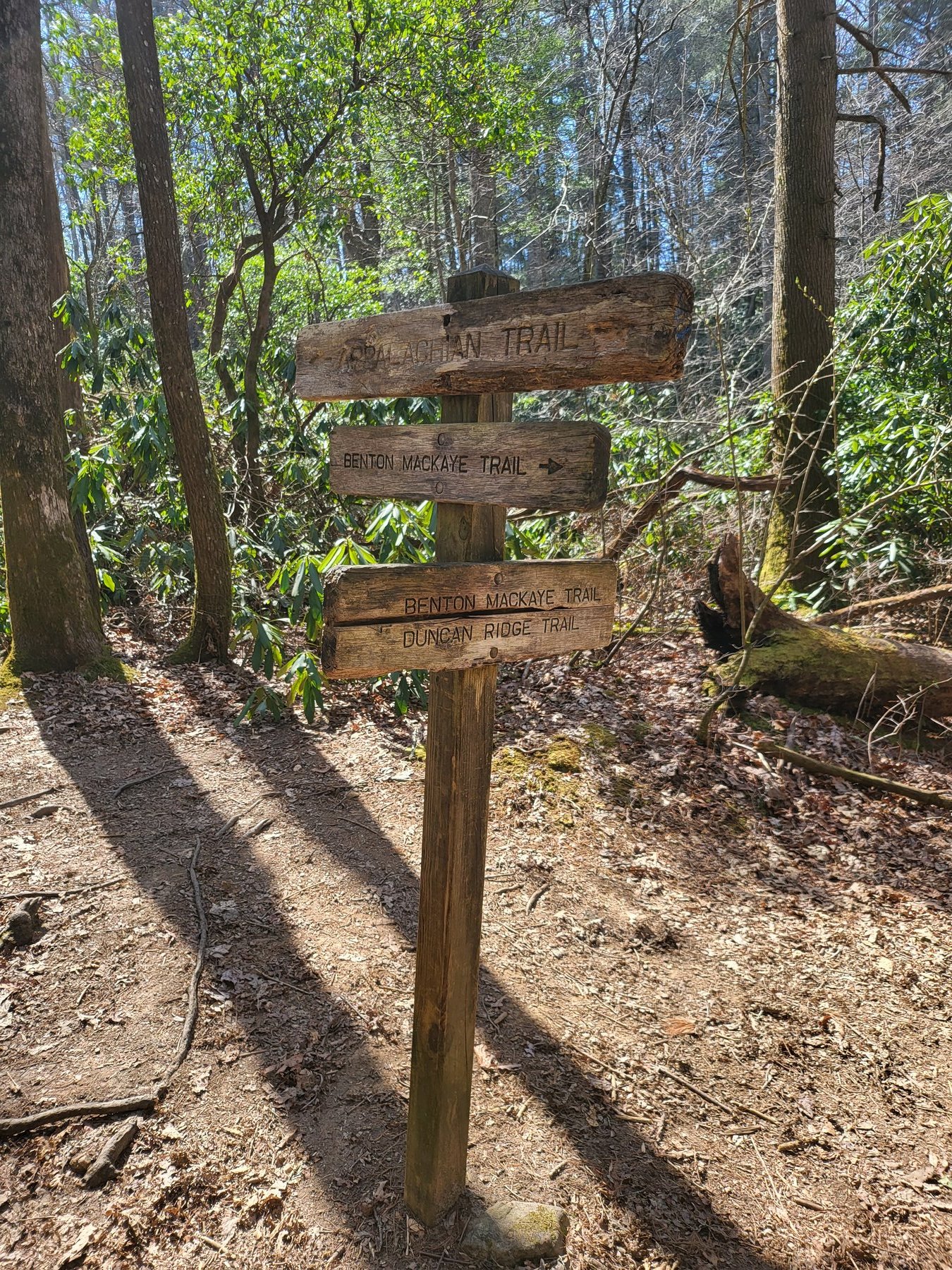 Appalachian Trail, Benton MacKaye Trail, and Duncan Ridge Trail signs on post at Springer Mountain Georgia