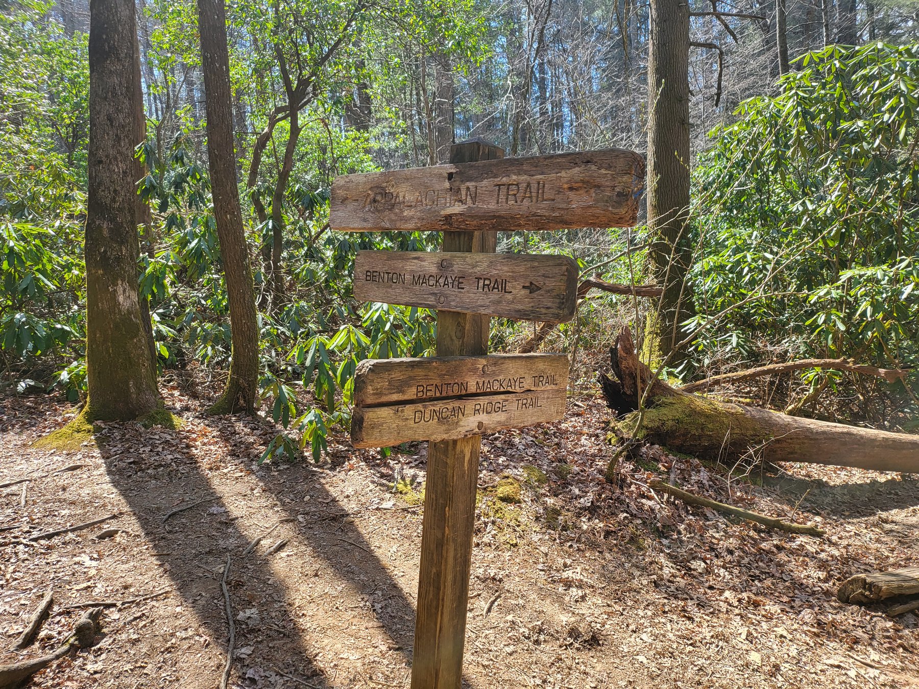 AT and Benton MacKaye Trail signs