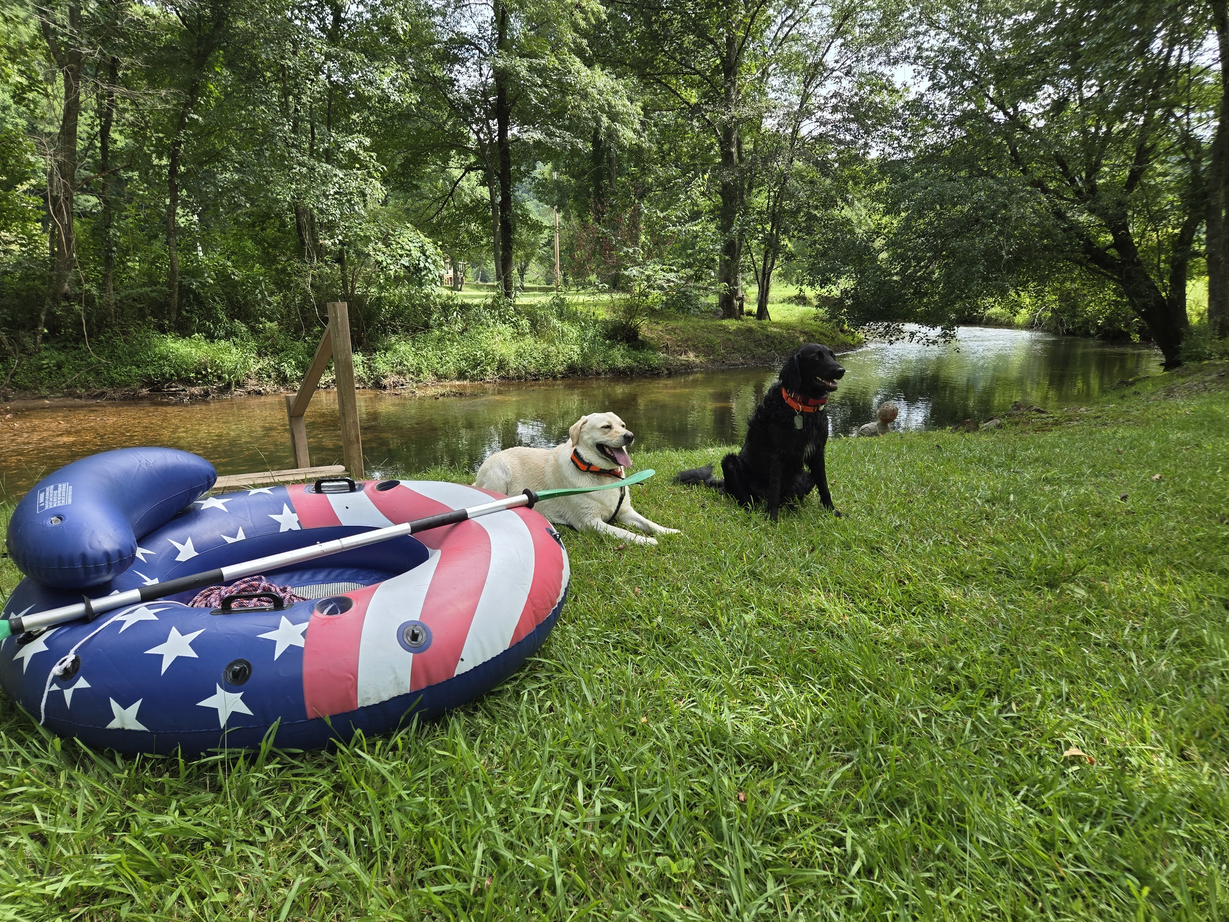 Dogs by the Toccoa River at Headwaters cabin in Suches, GA