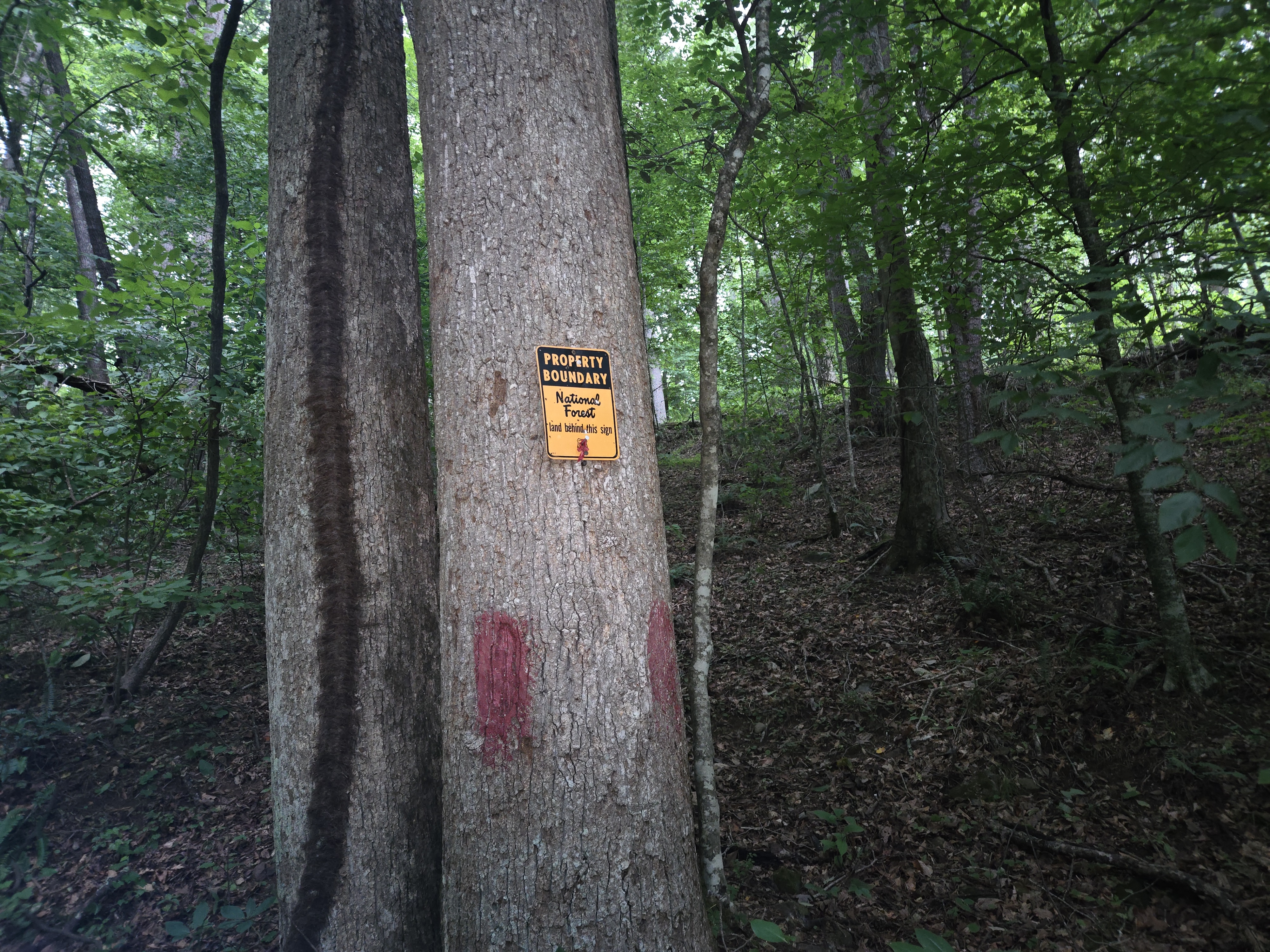 National Forest Property Boundary sign on a tree with a red trail blaze marker at the Headwaters cabin backyard in Suches GA